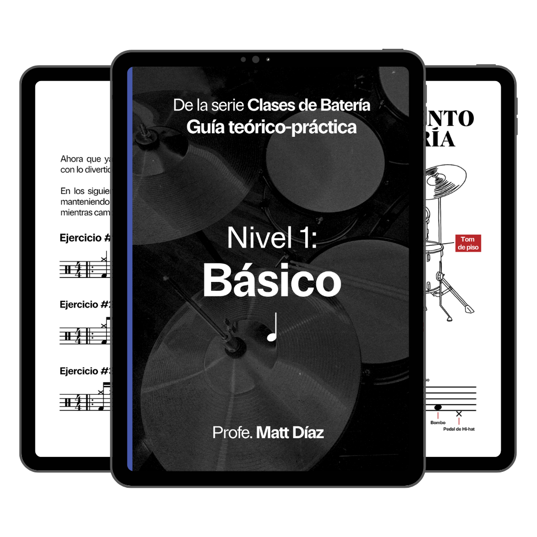 Guía teórico-práctica Nivel 1: Básico