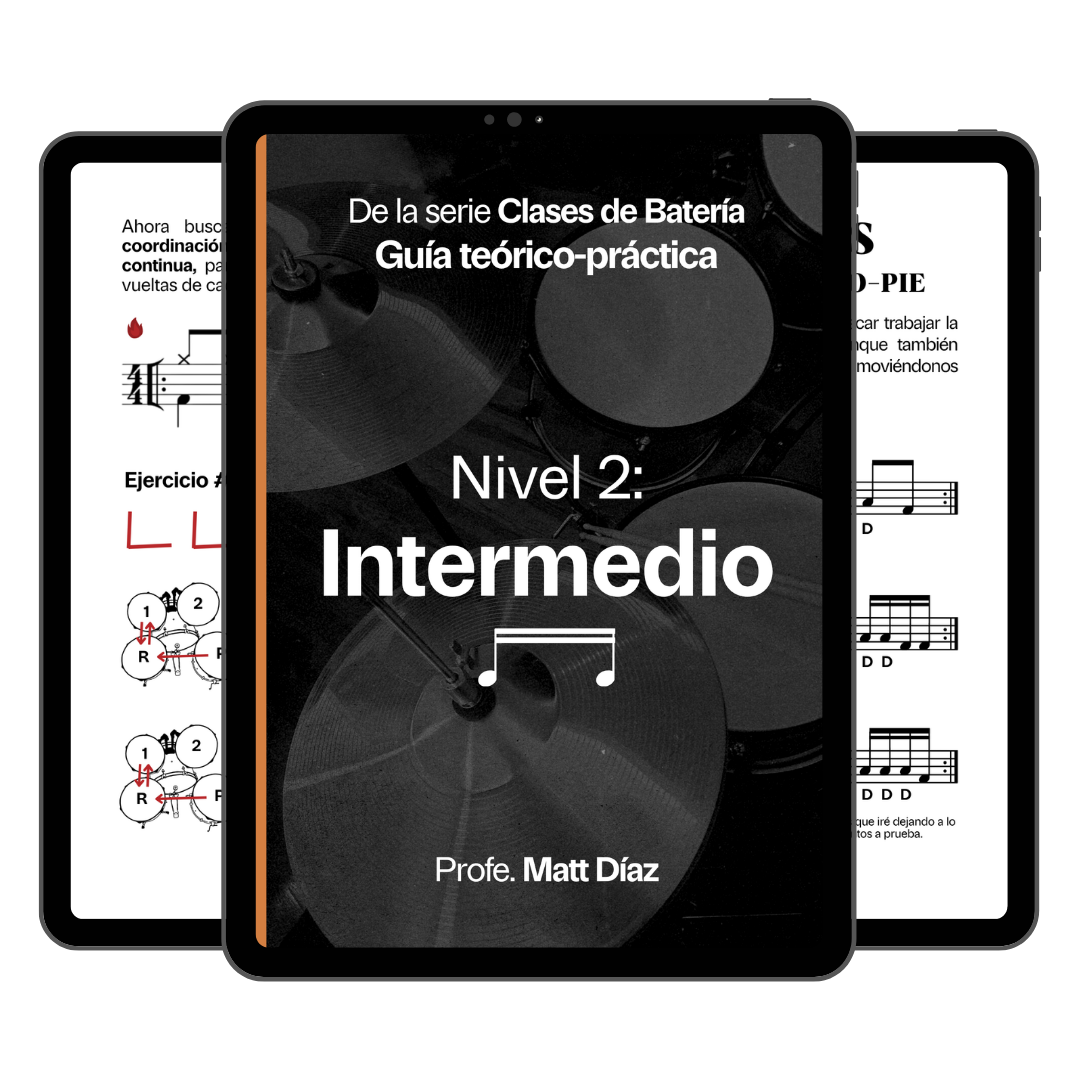Guía teórico-práctica Nivel 2: Intermedio